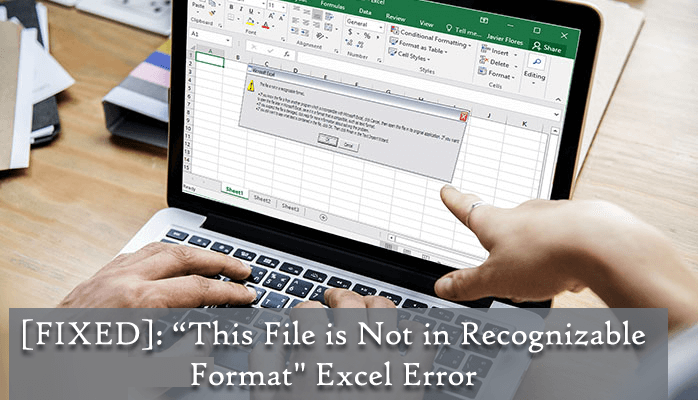 [4 Fixes] Excel This File Is Not In A Recognizable Format Error
