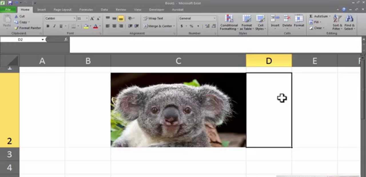  Insert GIF Images In Excel With VBA Code