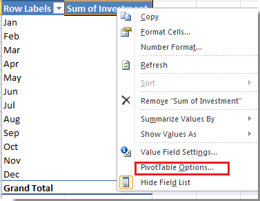 PivotTable Options