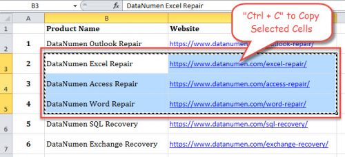 Copy And Paste Cells